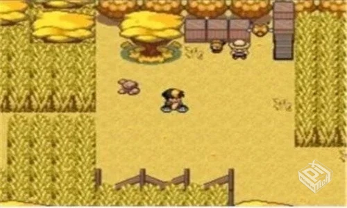 宝可梦:九重天 v2.0【1.1 GB】