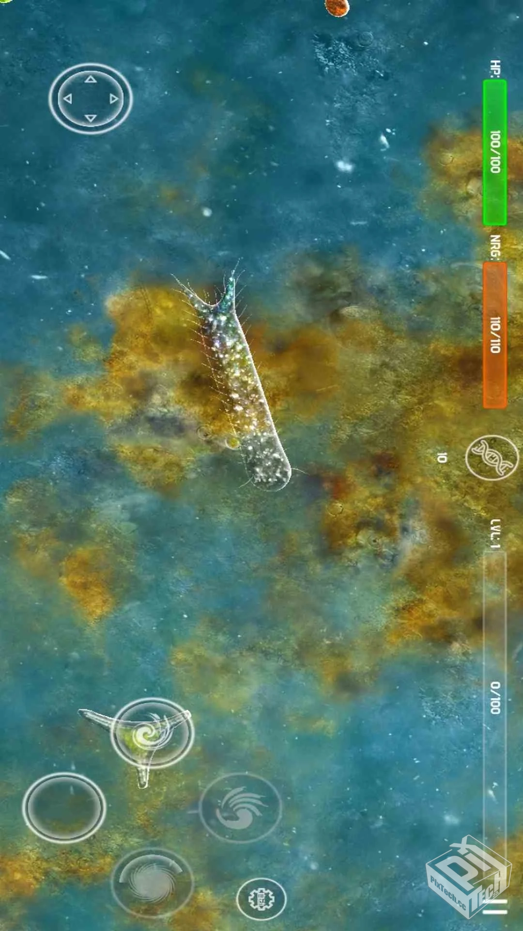 孢子进化论 v1.3.1