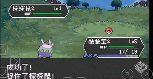 口袋妖怪：龙之石合集 v1.1