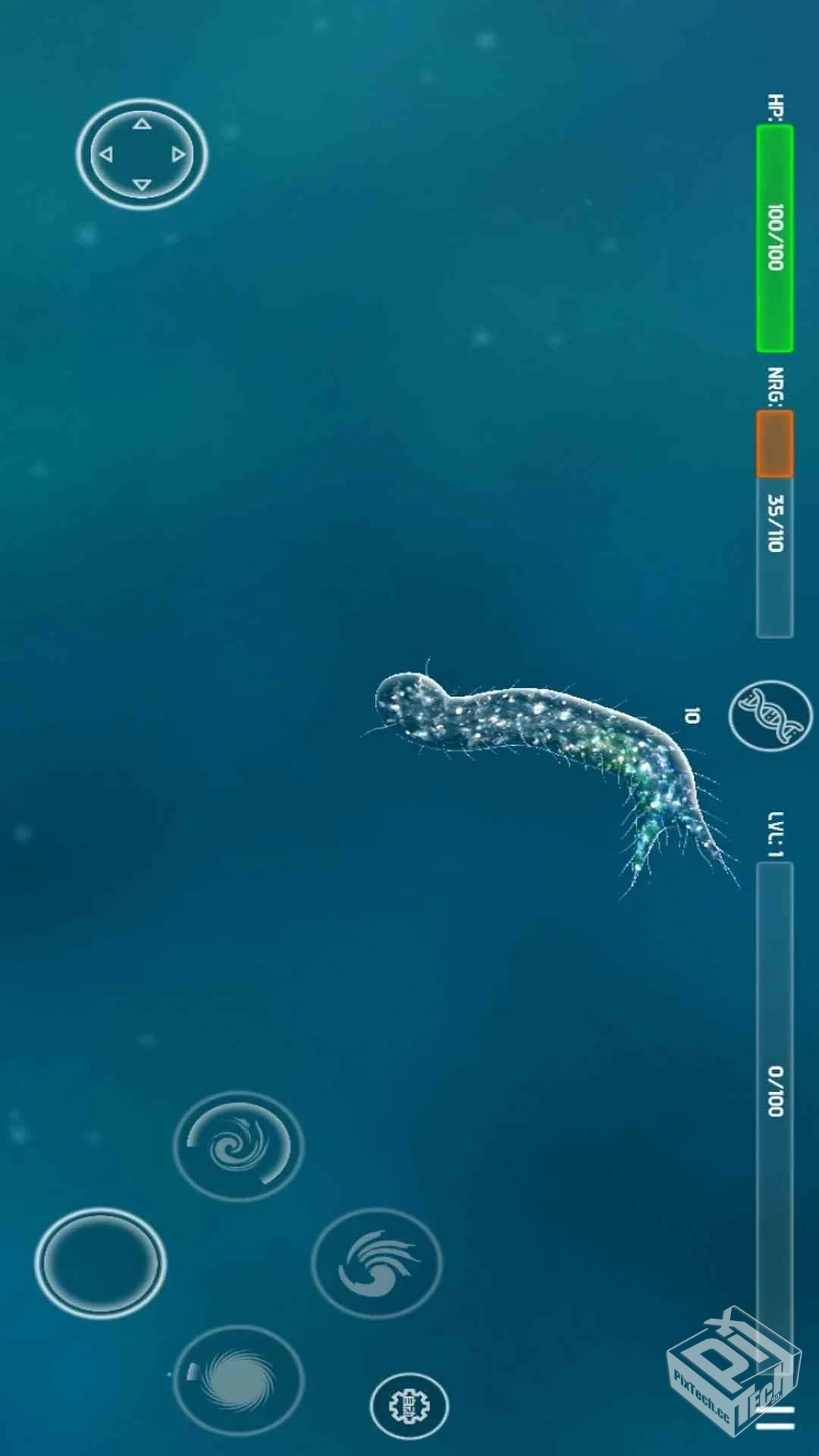 孢子进化论 v1.3.1【28.4 MB】