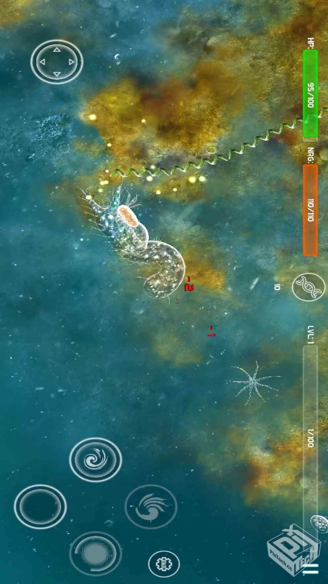 孢子进化论 v1.3.1