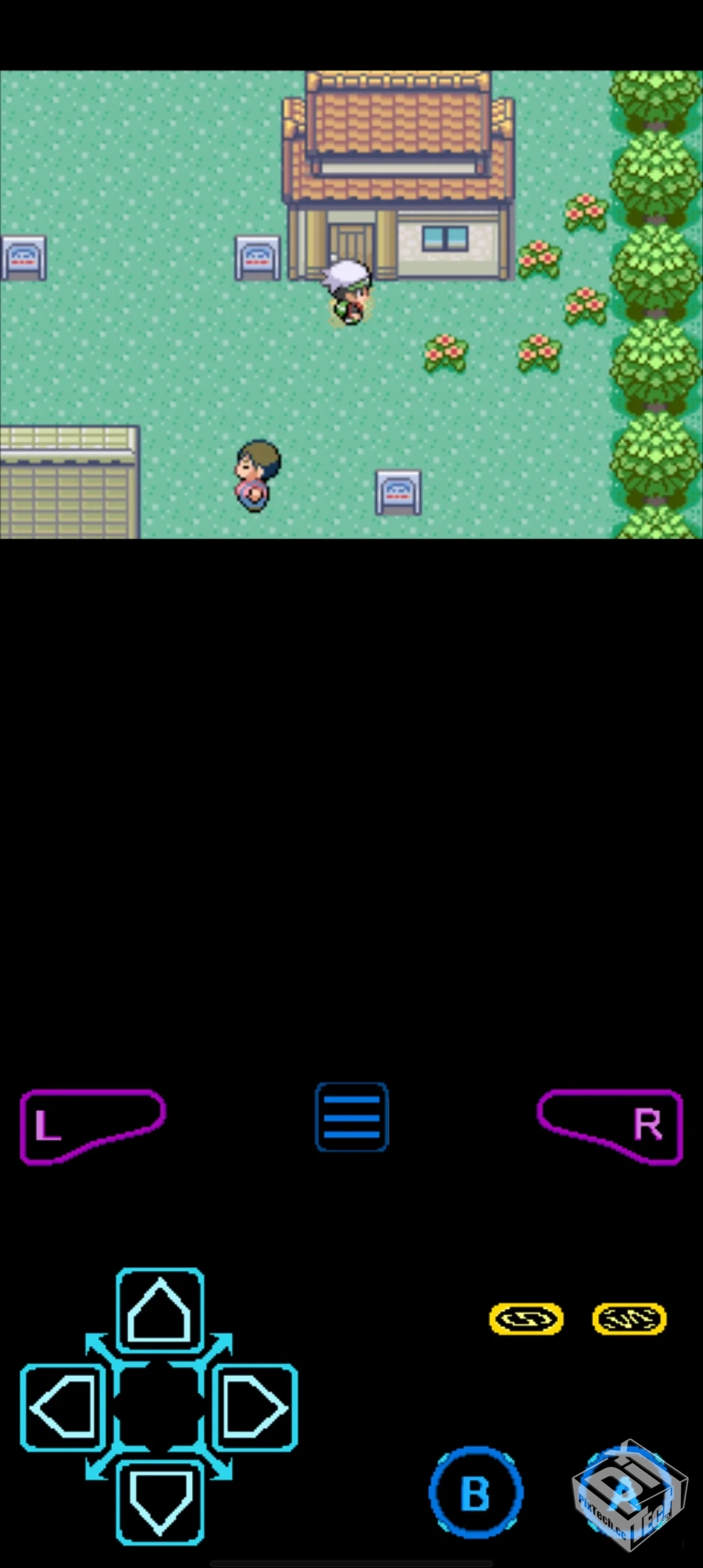 口袋妖怪：龙之石3 v1.1 内置金手指...