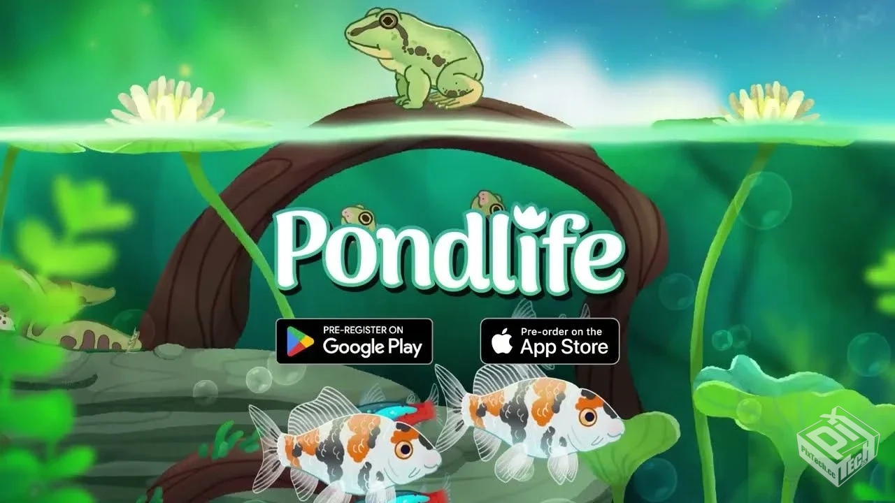 【池趣】你的鱼类心灵疗愈所