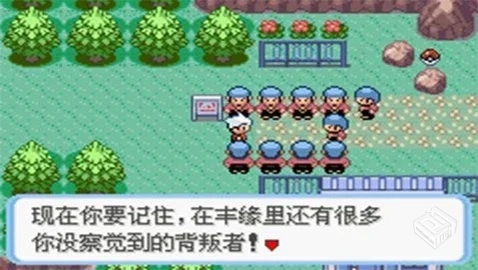 宝可梦:蛇纹木 重制版【491.0 MB】...