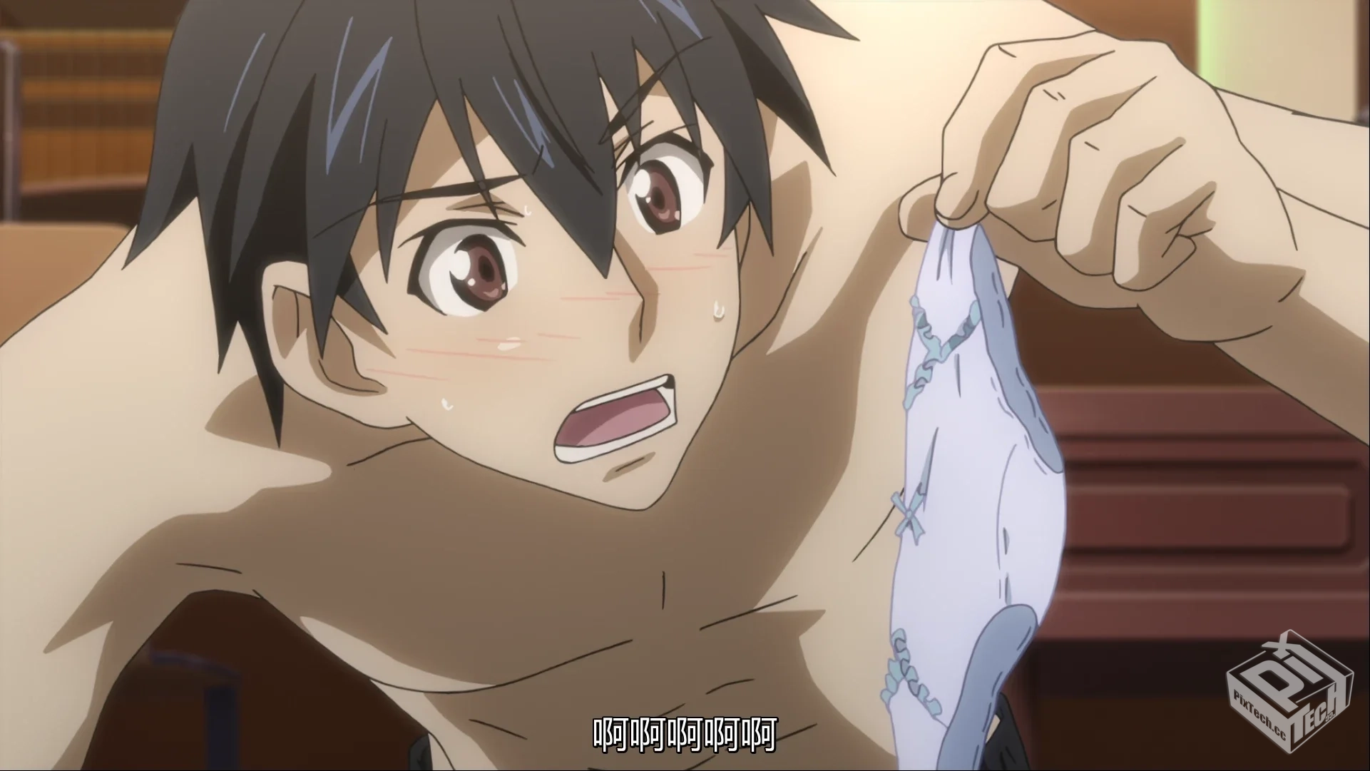 黑之召唤士 【2022】 异世界穿越 契约复仇 ...