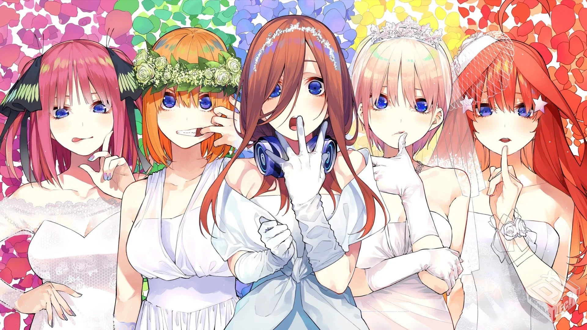 五等分的花嫁/五等分的新娘全14卷【含角色...