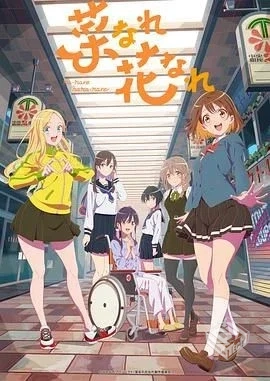 亦叶亦花 菜なれ花なれ 【2024】 更至03...