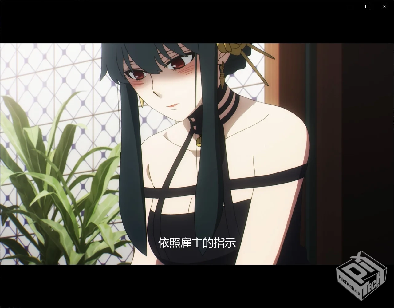 间谍过家家 SPY×FAMILY【简体中文 3840×2...