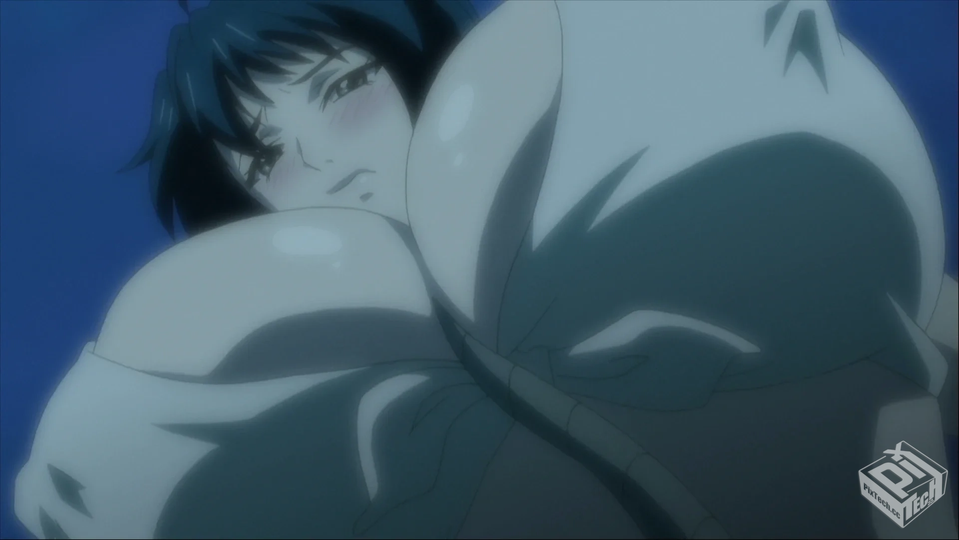 魔乳秘剑帖 【2011】 乳摇赛高 エロ战斗 乳...