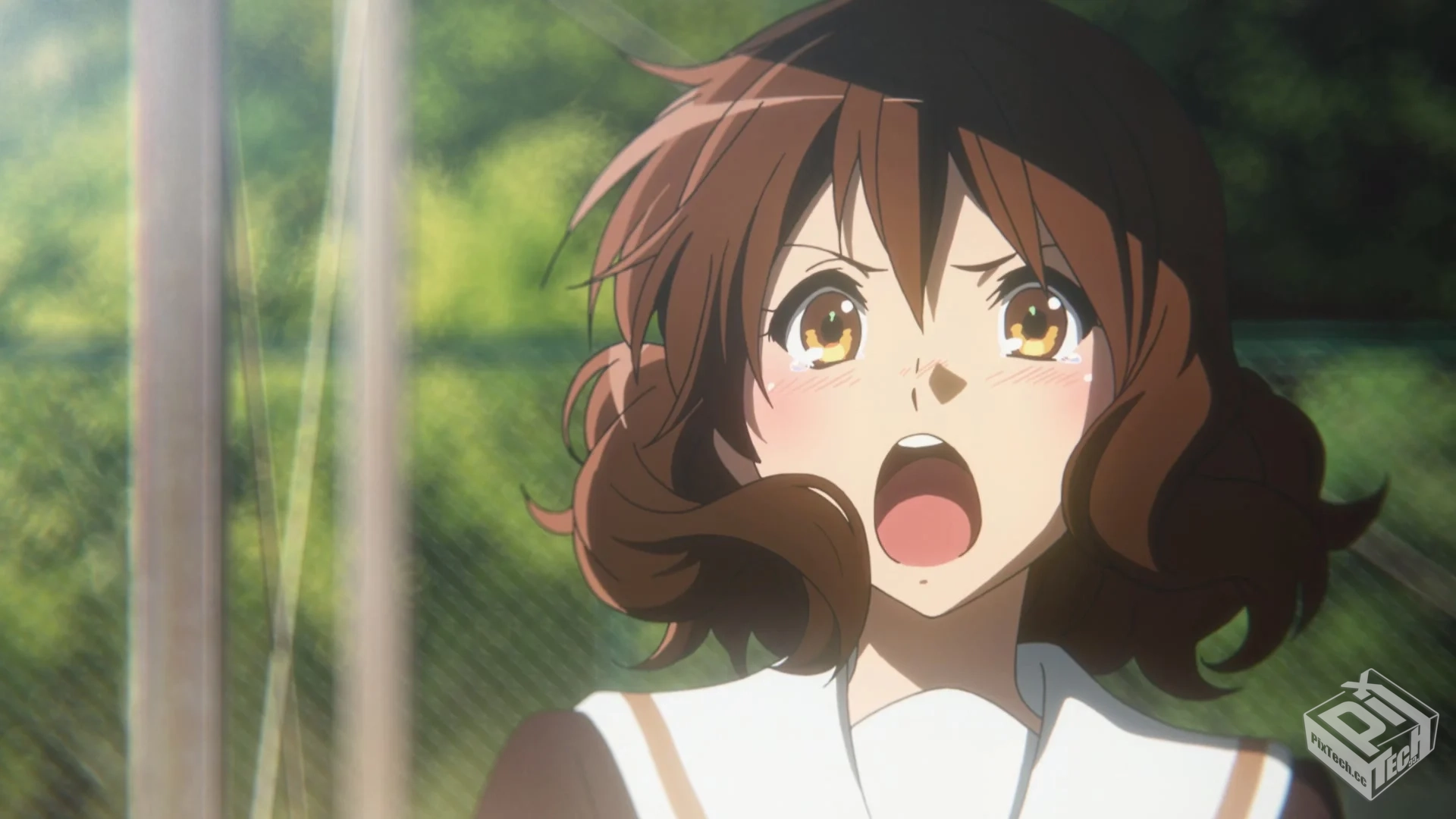 分享两个动漫bt下载网站