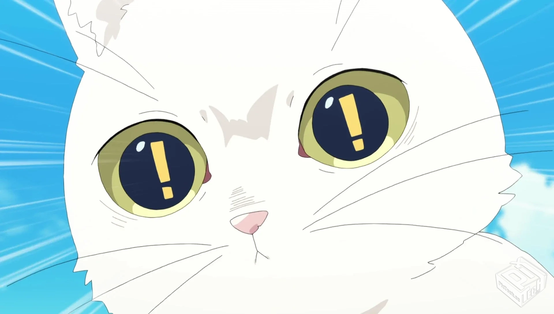 药师少女的独语