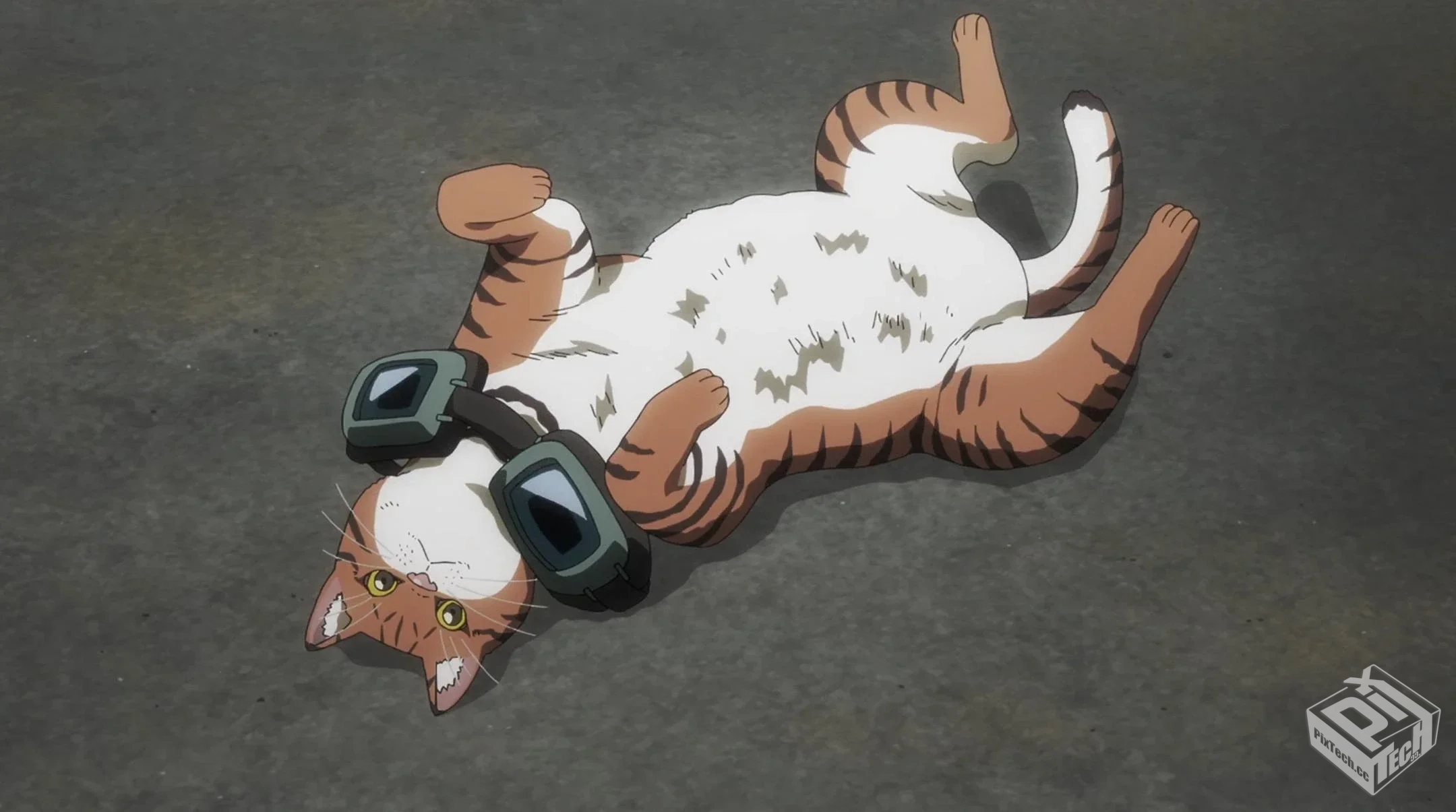 活死喵之夜 【2025】 丧尸惊悚 黑色幽默 猫...