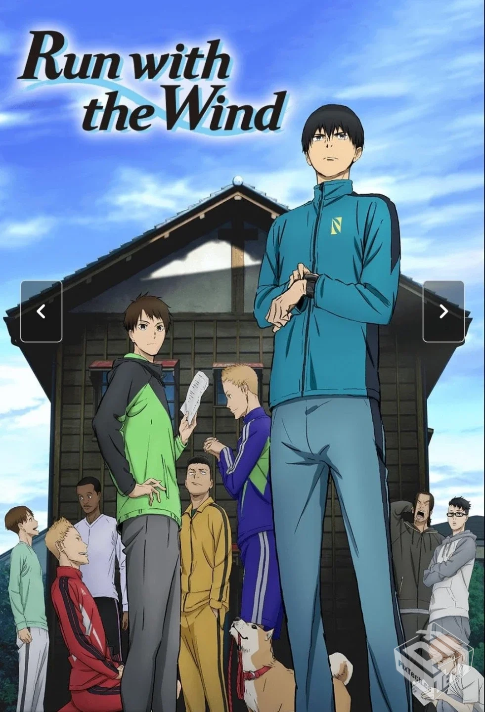 强风吹拂 風が強く吹いている 【2018】...