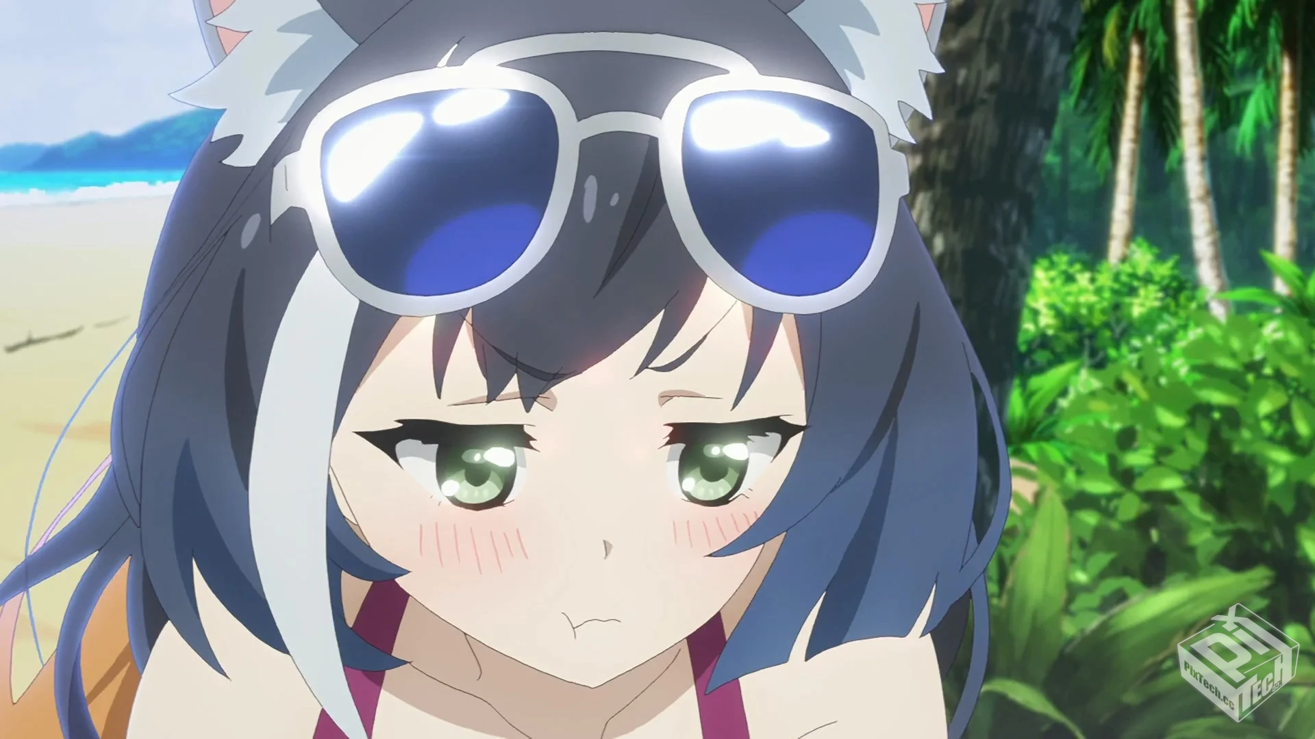 【Re:Dive／公主连结／01-13END】