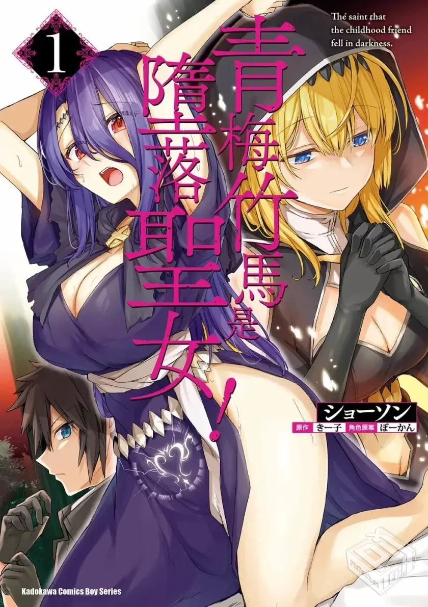 【青梅竹马是堕入黑暗的圣女】1-2卷 PDF...