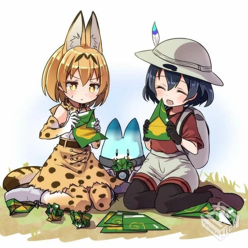 兽娘动物园第一季全集