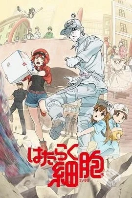 工作细胞S01-S02季全集4K超清2160P收藏版内...