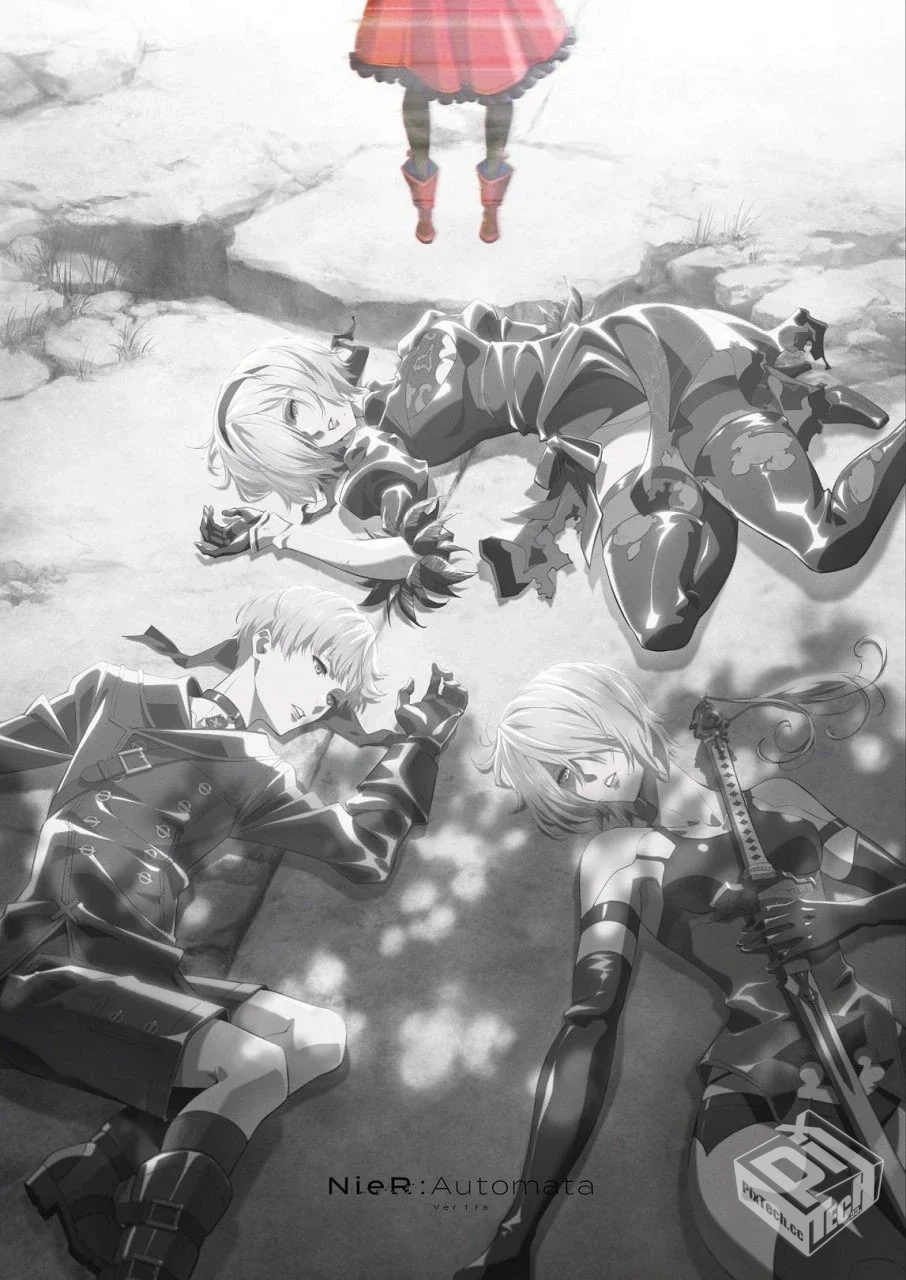 尼尔:自动人形 全2季 更至22集 日语简中 喵...