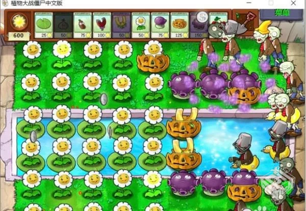 95版植物大战僵尸