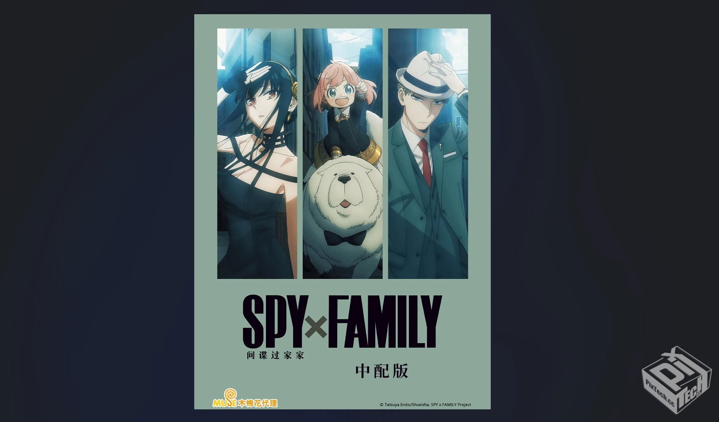 【间谍过家家】 第一二季全集 中配版 【19....