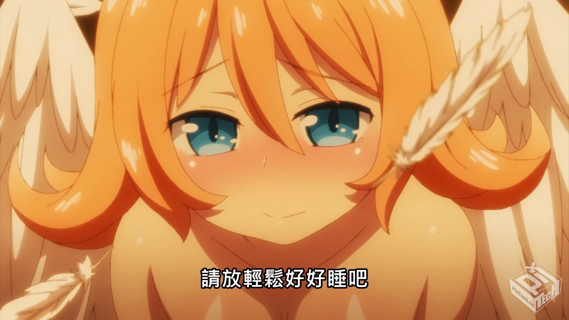 异种族风俗娘评鉴指南【2020】风俗评鉴 表...