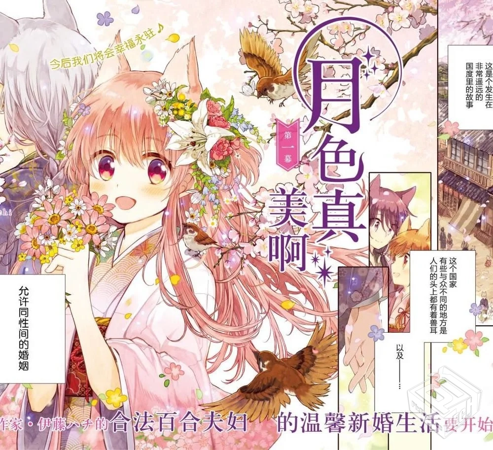 月が綺麗ですね(月色真美啊) 伊藤ハチ...