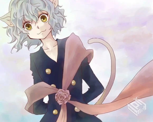 【挖坑向】全职猎人—99老版+11重制版+两剧...