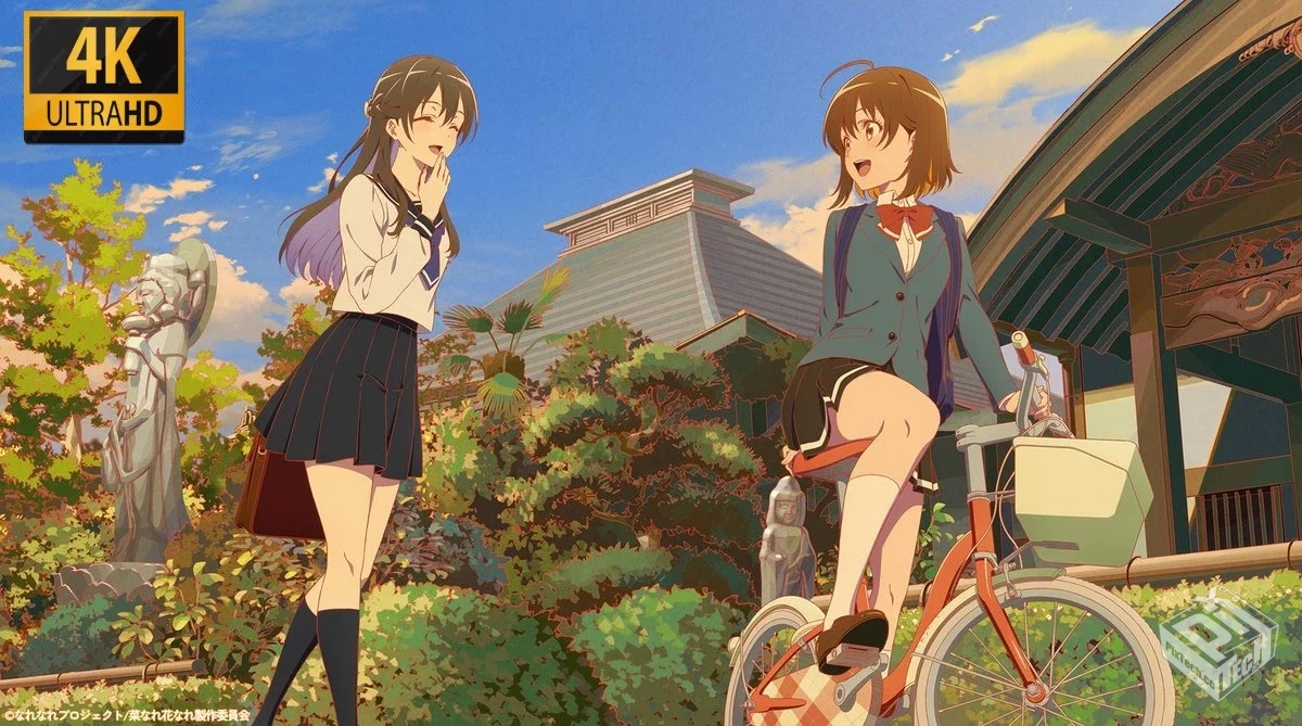 亦叶亦花.少女如草花绽放 【4K】【高码率】...