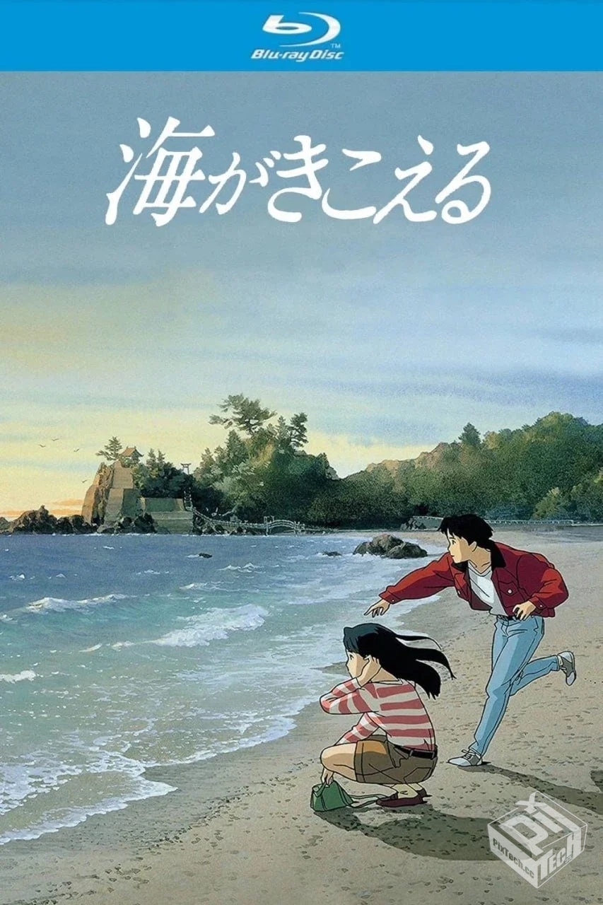 听到涛声 【1993】【蓝光原盘REMUX】【PCM...