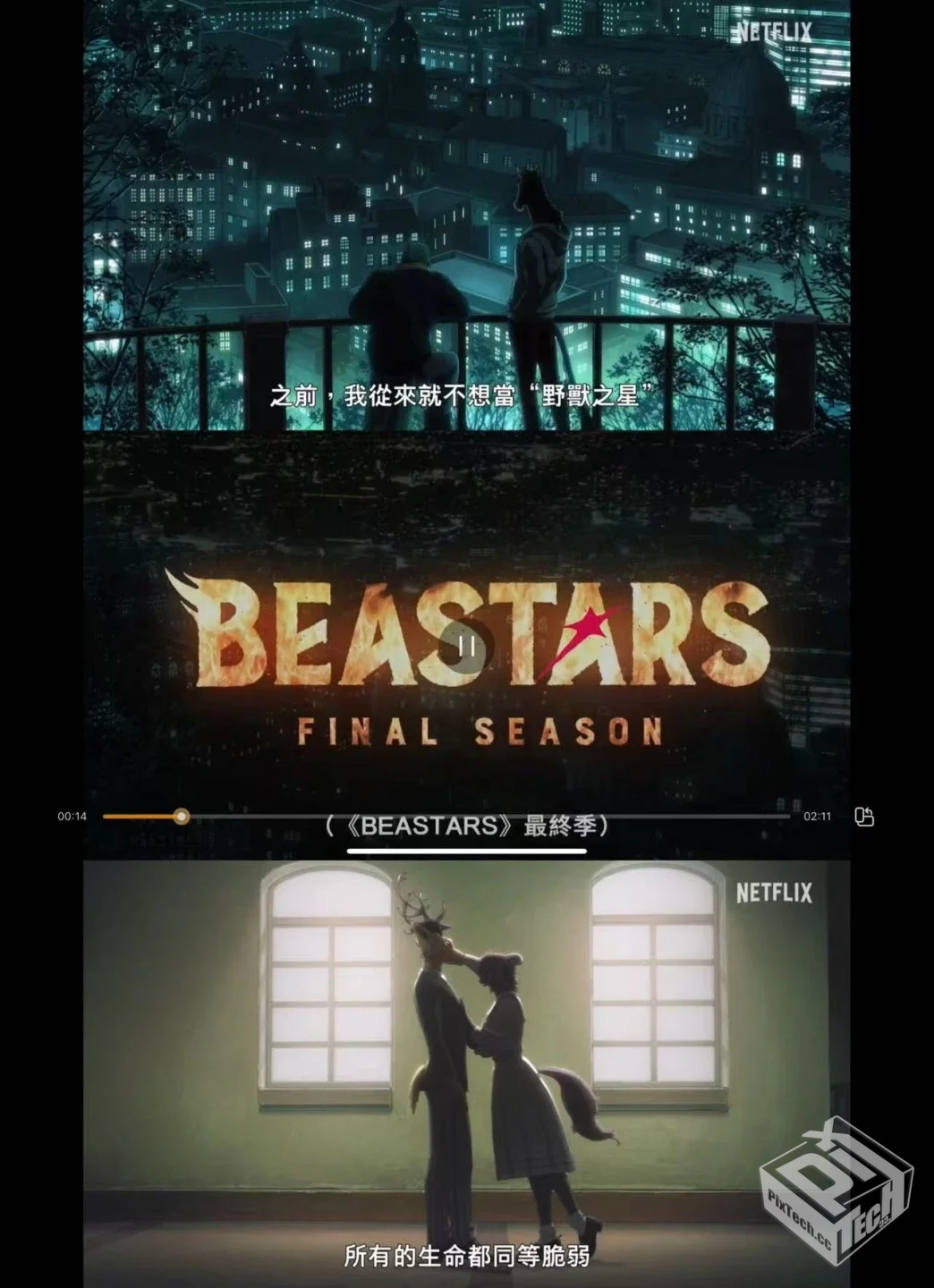 动物狂想曲 最终季PART1 全12集放出...