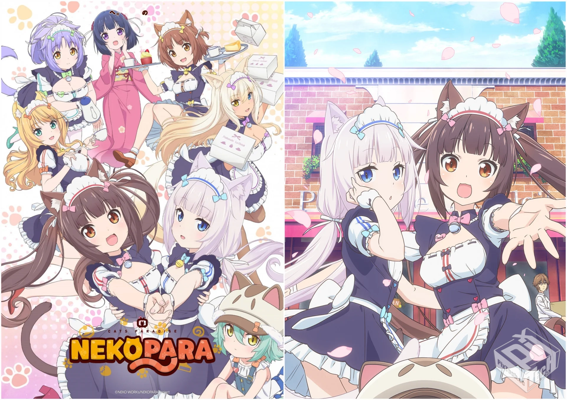 nekopara 猫娘乐园 1080P高画质