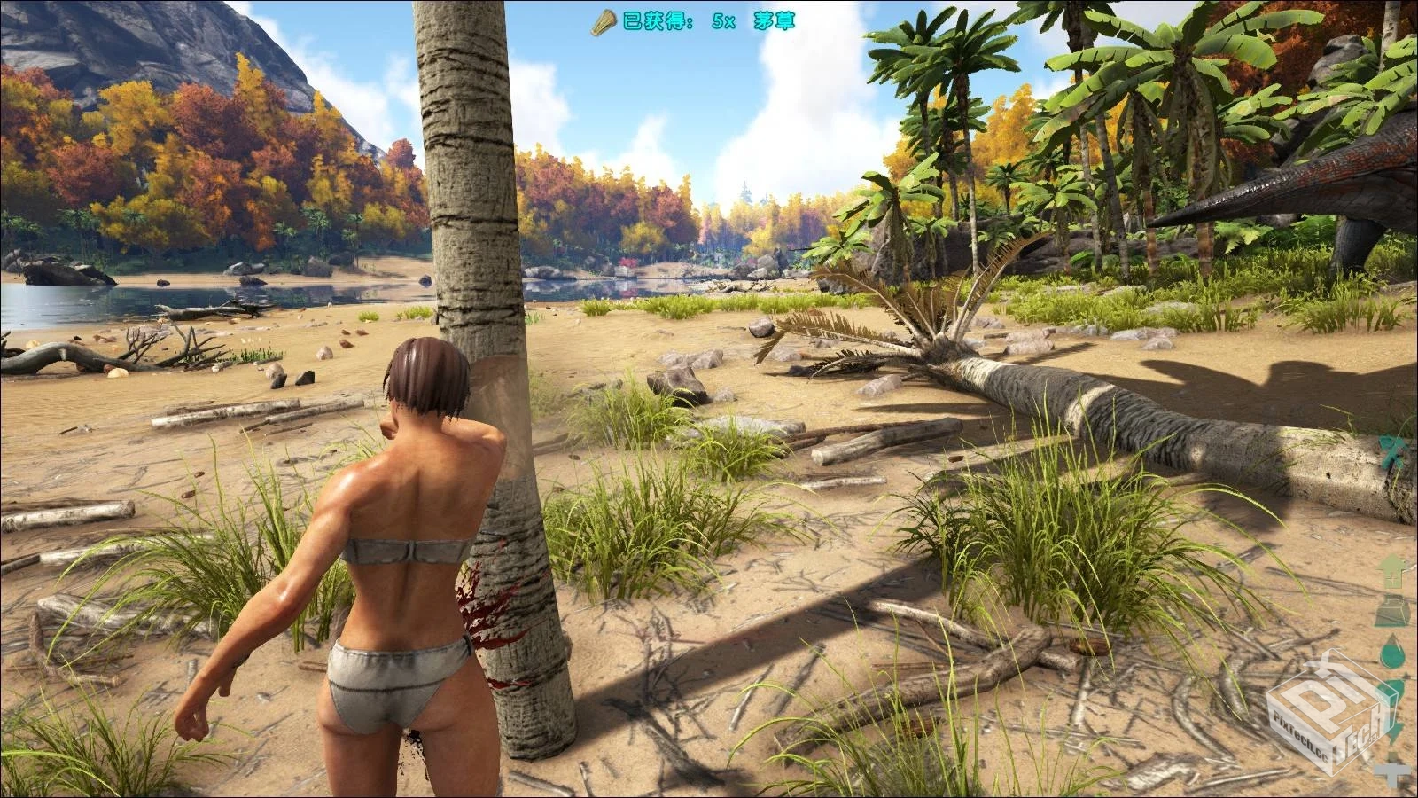 方舟：生存进化 终极重制版 v20250509 全DL...