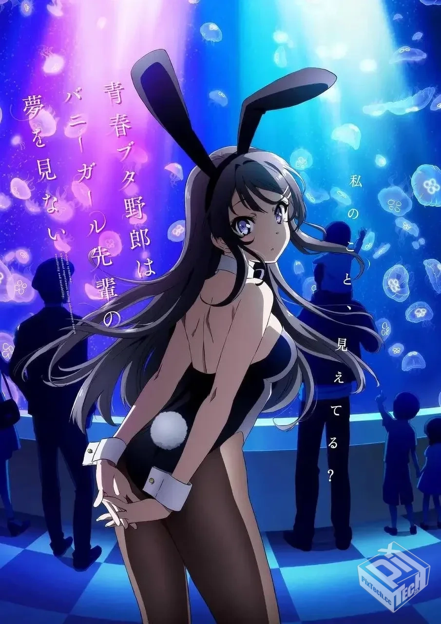 青春猪头少年不会梦到兔女郎学姐 全13话 10...