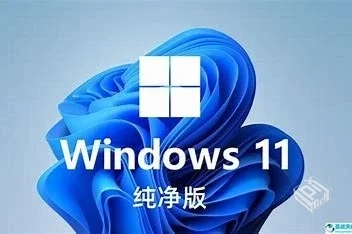 最新LTSC小修纯净版Win10+11双版本系统...