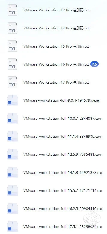 VMware 9/10/11/12/14/15/16/17 各版本 虚...