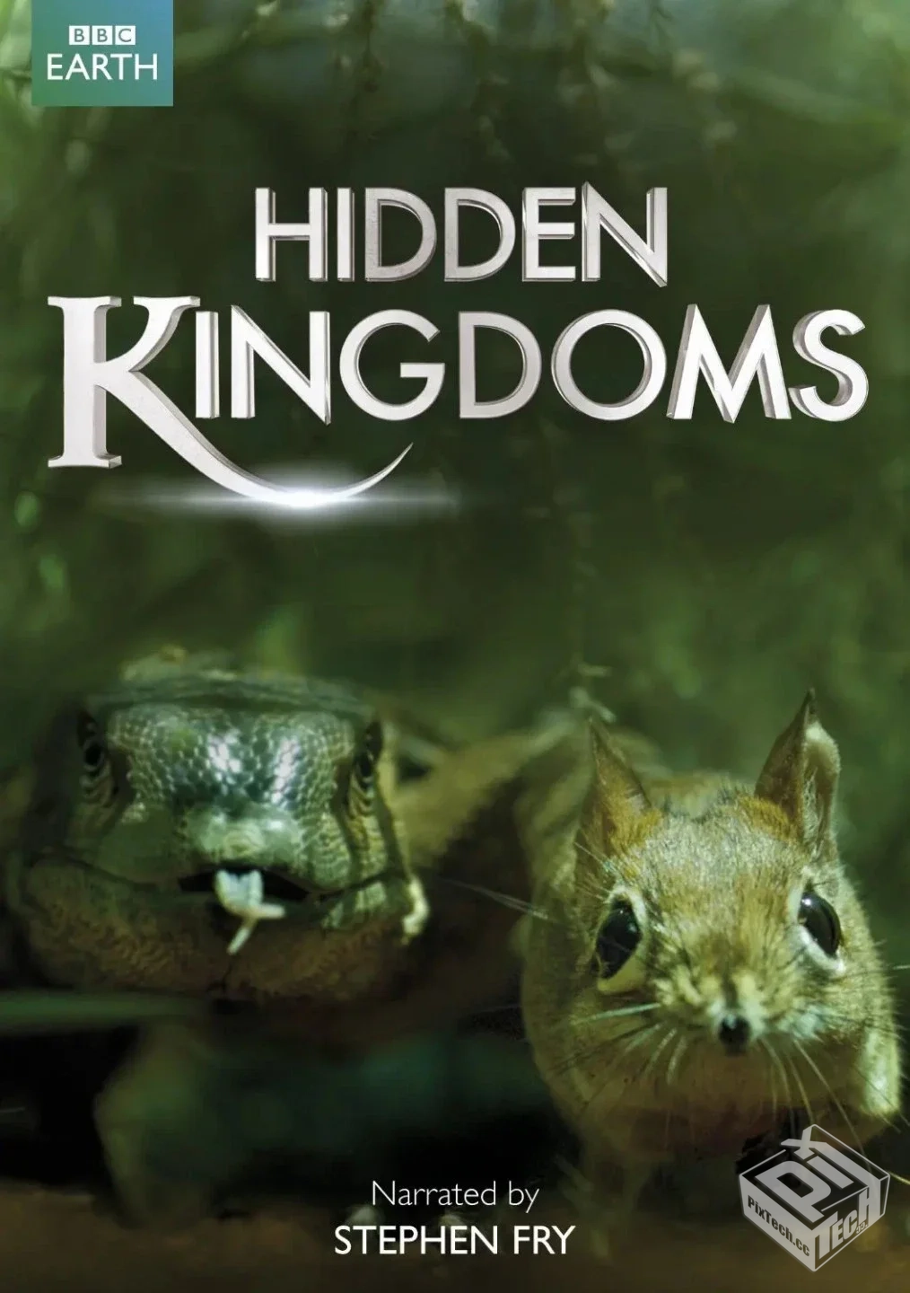 【隐秘王国】1.95G