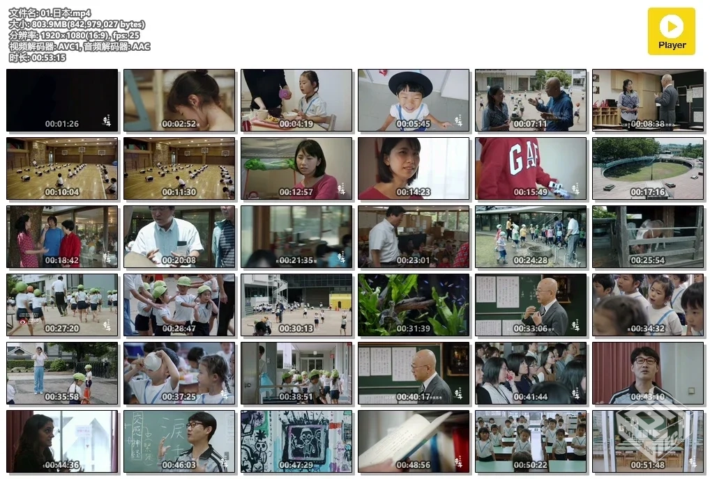 【他乡的童年】第一季 2019 豆瓣9.0分教育...