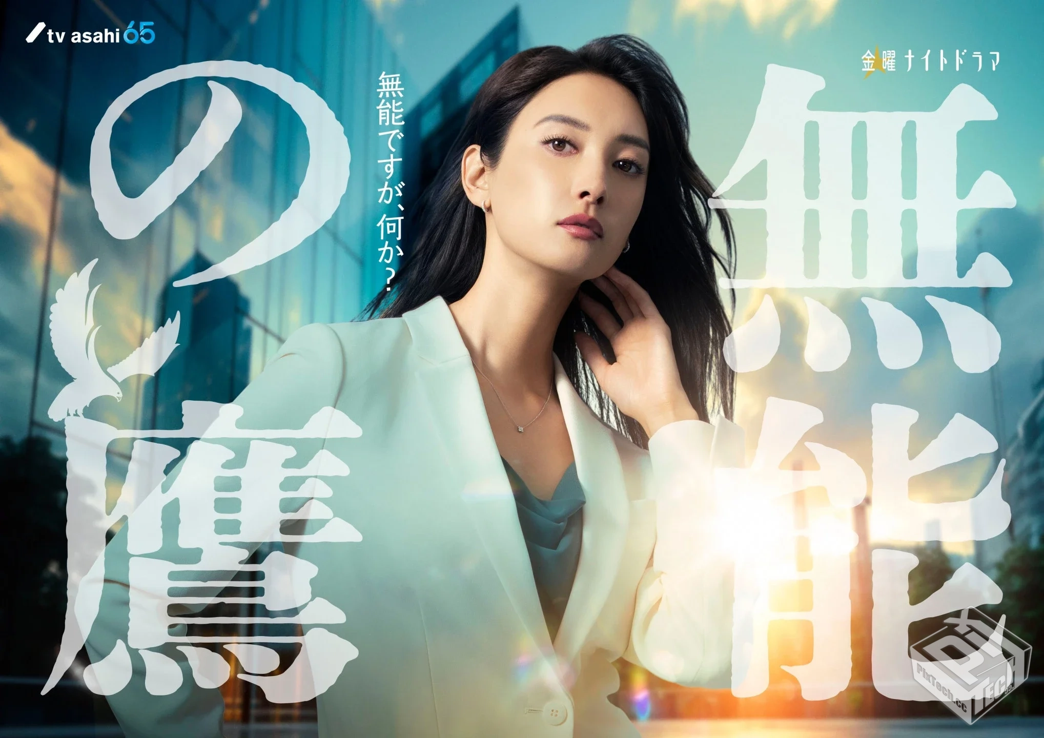 无能之鹰 电视剧 高清1080p 中文字幕 网盘...