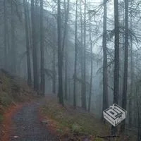 实用技巧深度分享如何有效提高网站品质排名...