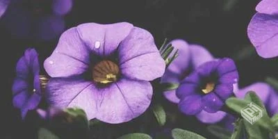 W3C网页设计交流社区连接全球设计精英共同...