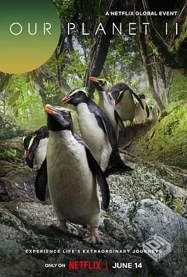 我们的星球 Our Planet Season 全集