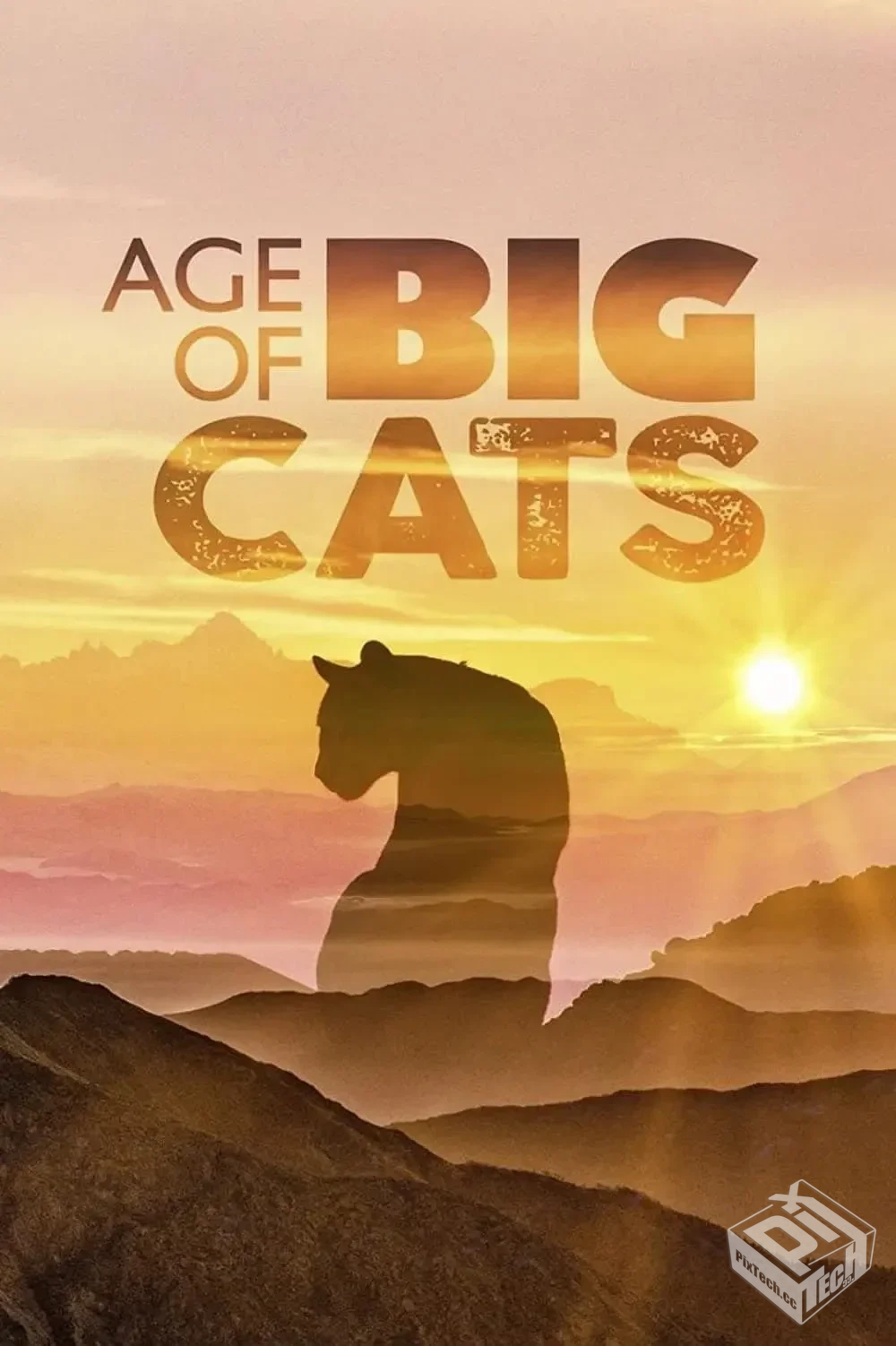 大猫的时代 Age of Big Cats 【2018】...
