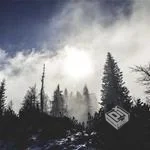 Bootstrap4媒体对象应用指南 轻松掌握网页...