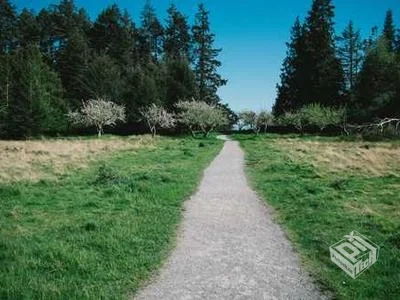 CSS3网页样式设计指南从基础到高级打造令人...