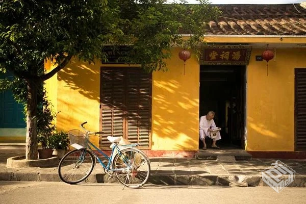 掌握CSS样式技巧让你的网页从平凡到卓越吸...