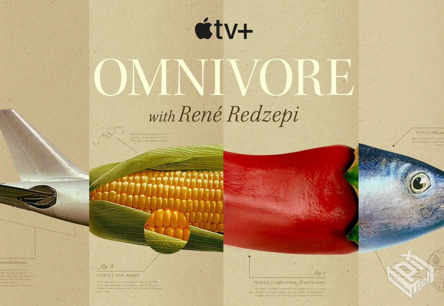 舌尖上的世界 高清1080p 中文字幕 网盘下载...